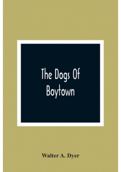 The Dogs Of Boytown