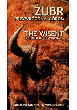 Żubr przywrócony górom