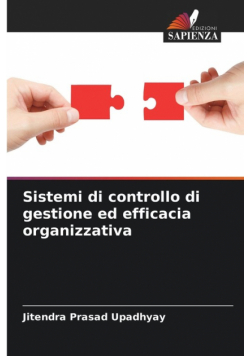 Sistemi di controllo di gestione ed efficacia organizzativa