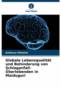 Globale Lebensqualität und Behinderung von Schlaganfall-Überlebenden in Maiduguri