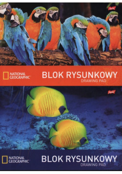 Blok rysunkowy A4 National Geographic 20 kartek 10 sztuk mix