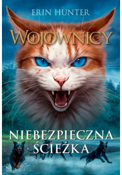 Niebezpieczna ścieżka