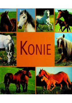 Konie