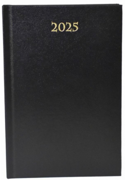 Terminarz 2025 dzienny B6 Divas czarny