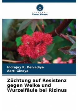 Züchtung auf Resistenz gegen Welke und Wurzelfäule bei Rizinus