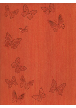 Notatnik B5 Ivory Motyle pomarańczowy