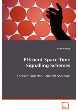 Efficient Space-Time Signalling Schemes