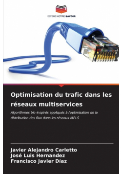 Optimisation du trafic dans les réseaux multiservices
