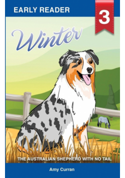 Winter the Australian Shepherd with no tail