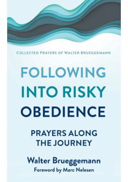 Following into Risky Obedience