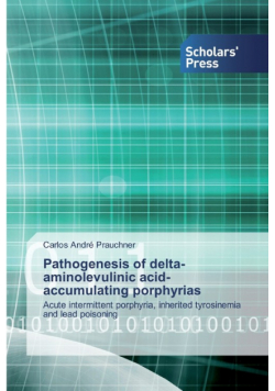 Pathogenesis of delta-aminolevulinic acid-accumulating porphyrias