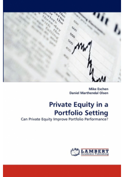 Private Equity in a Portfolio Setting