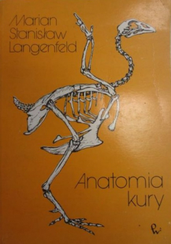 Anatomia kury