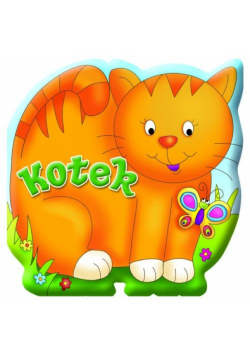 Kotek