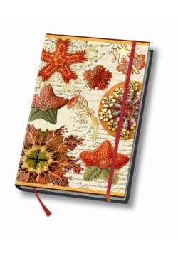 Notes A5 Art book 80 kartek w linie Rozgwiazda
