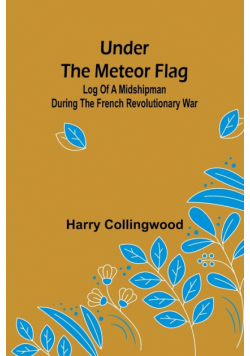 Under the Meteor Flag