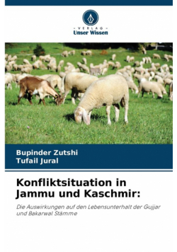 Konfliktsituation in Jammu und Kaschmir