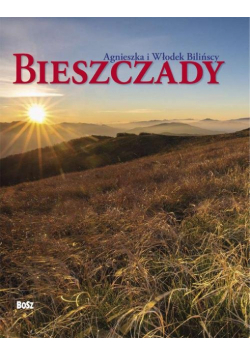 Biliński Włodek - Bieszczady