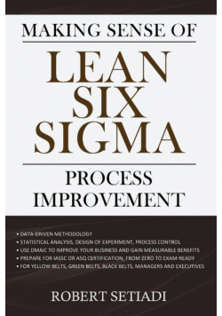 Making Sense of Lean Six Sigma Process Improvement