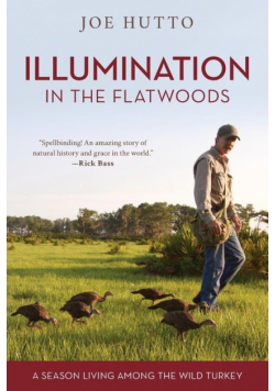 Illumination in the Flatwoods