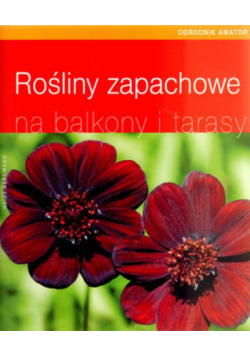Rośliny zapachowe na balkony i tarasy
