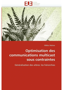 Optimisation des communications multicast sous contraintes