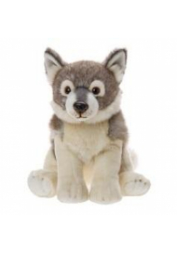Wilk szary 23cm