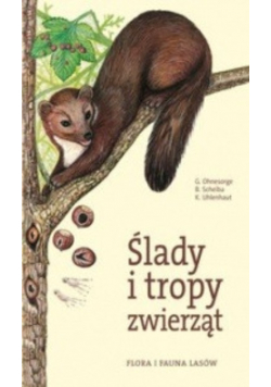 Ślady i tropy zwierząt