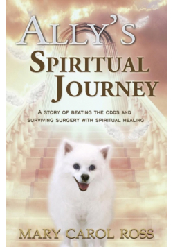 Ally's Spiritual Journey