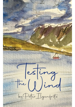 Testing the Wind
