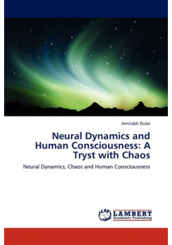Neural Dynamics and Human Consciousness