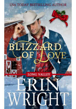 Blizzard of Love