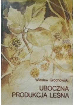 Uboczna produkcja leśna