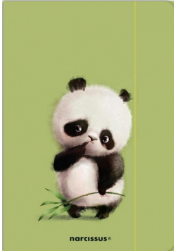 Teczka A4 z gumką Panda
