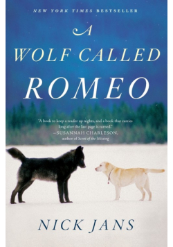 Wolf Called Romeo