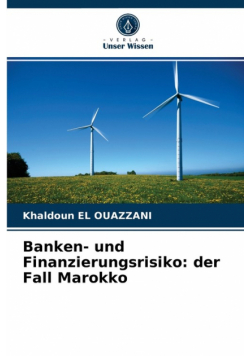 Banken- und Finanzierungsrisiko