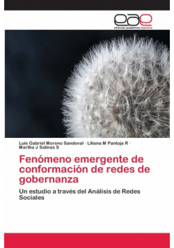Fenómeno emergente de conformación de redes de gobernanza