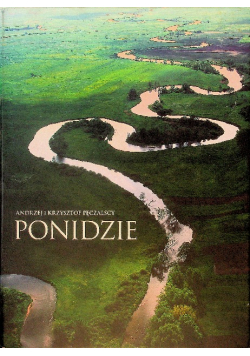 Ponidzie