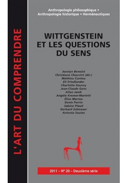 Wittgenstein et les questions du sens