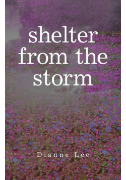 Shelter from the Storm