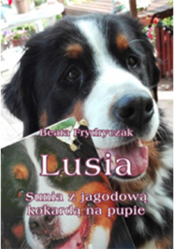Lusia Sunia z jagodową kokardą na pupie