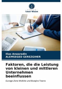 Faktoren, die die Leistung von kleinen und mittleren Unternehmen beeinflussen