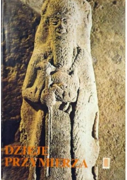 Dzieje przymierza Biblia dla młodzieży