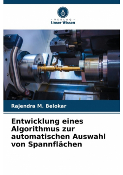 Entwicklung eines Algorithmus zur automatischen Auswahl von Spannflächen