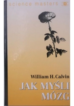 Jak myśli mózg
