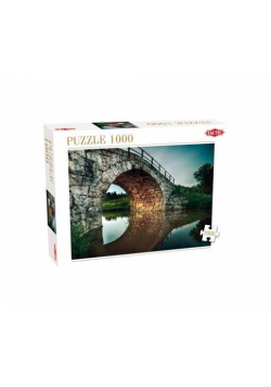 Puzzle Under the Bridge 1000