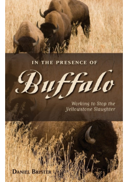 In the Presence of Buffalo