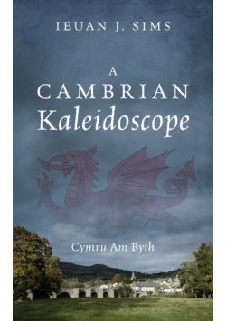 A Cambrian Kaleidoscope