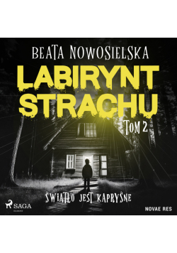 Labirynt strachu. Tom 2. Światło jest kapryśne (#2)