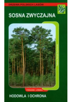 Sosna zwyczajna